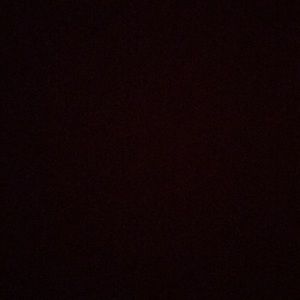 Meet your Posher, Bailey